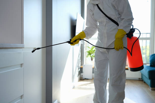 Best HVAC Mold Remediation in Maugansville, MD